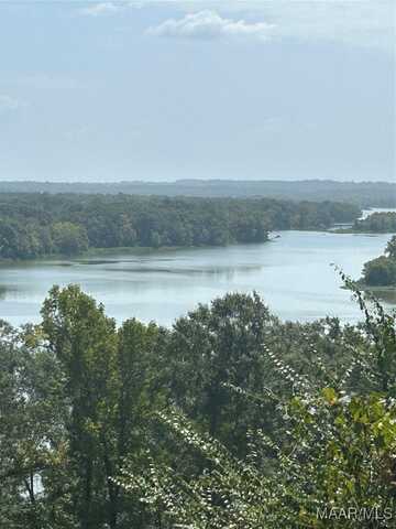 3 Prairie Bluff Drive, Catherine, AL 36728
