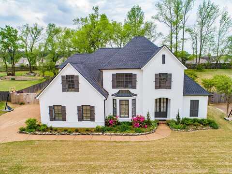 10279 HERONS RIDGE, Lakeland, TN 38002