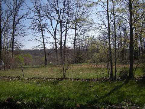 394 Perkins Road, Saint Clair, MO 63077