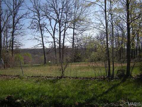 394 Perkins Road, Saint Clair, MO 63077