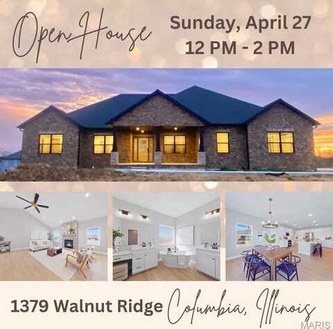 1379 Walnut Ridge Drive, Columbia, IL 62236