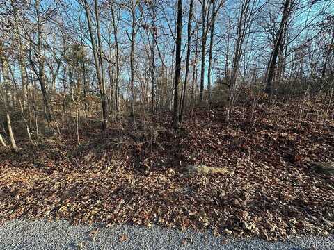 20 Wagon Creek Loop, Creal Springs, IL 62922