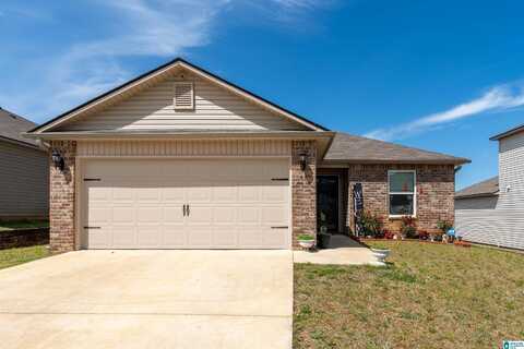 60 BUCKHORN LANE, LINCOLN, AL 35096