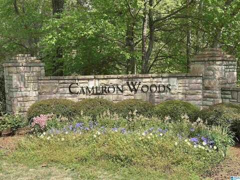 140 CAMERON DRIVE, CHELSEA, AL 35043