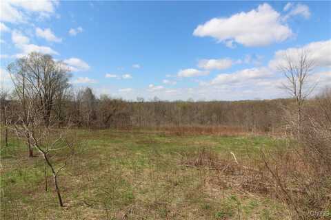River Road, Elbridge, NY 13080