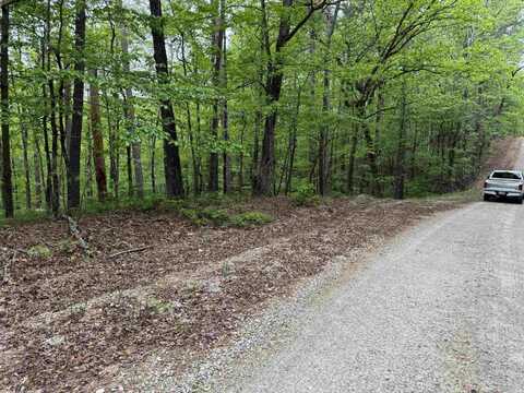 6 COMBRE WAY, Hot Springs Village, AR 71909