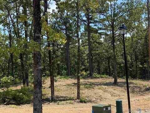 3910 Orchard Heights Drive, Conway, AR 72034