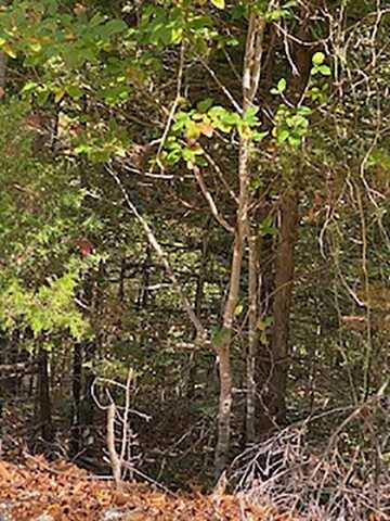 Tonto Drive, Cherokee Village, AR 72529