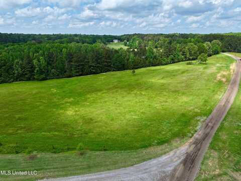 Sandy Lane, Flora, MS 39071