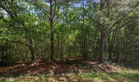 0 Kingswood Drive, Bay Saint Louis, MS 39520