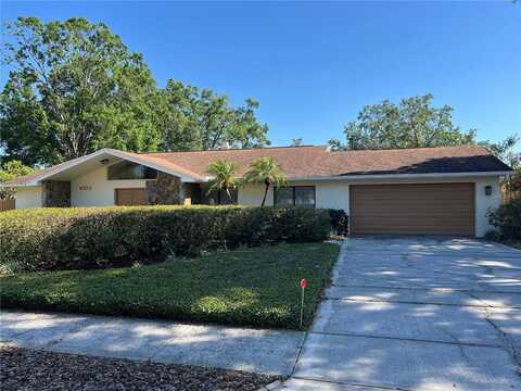 6703 PEACHTREE DRIVE, TEMPLE TERRACE, FL 33617