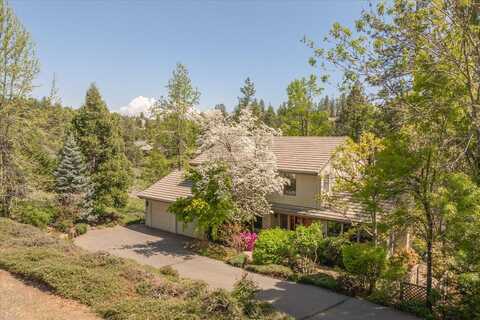517 Forest Meadows Drive, Murphys, CA 95247
