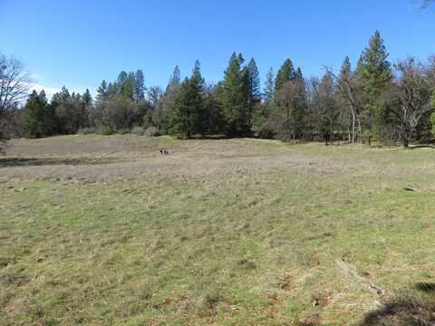 21482 Highway 26, West Point, CA 95255