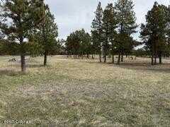 638 Cedar St, Upton, WY 82730