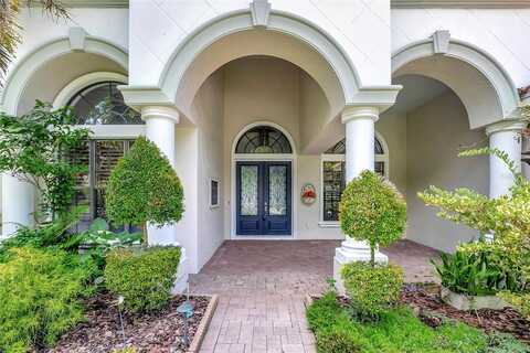 9630 TREE TOPS LAKE ROAD, TAMPA, FL 33626