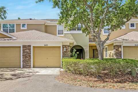 8125 STONE PATH WAY, TAMPA, FL 33647