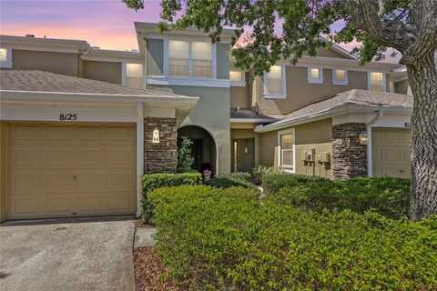 8125 STONE PATH WAY, TAMPA, FL 33647