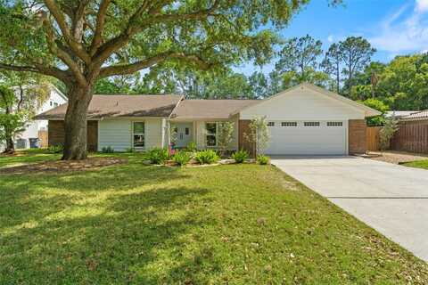 11709 ROLLING OAKS LANE, TAMPA, FL 33618