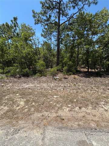 9898 N LATHYRUS TERRACE, DUNNELLON, FL 34433