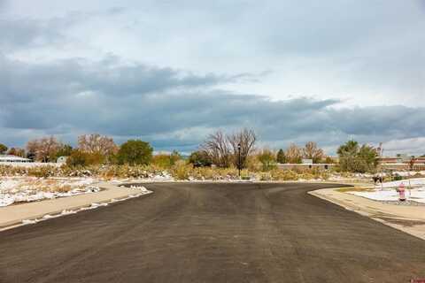 TBD Lot 10 E Star Court, Montrose, CO 81401