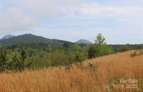 332 Parris Road, Rutherfordton, NC 28139