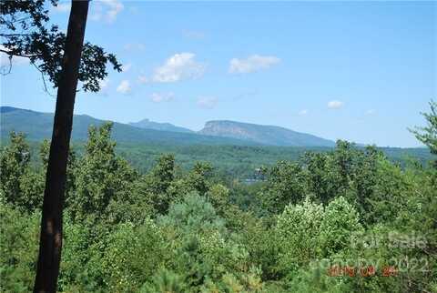 675 Harborside Drive unit: 238 & 238A, Nebo, NC 28761