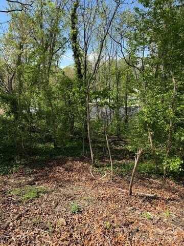 99999 Reese Street, Woodfin, NC 28804