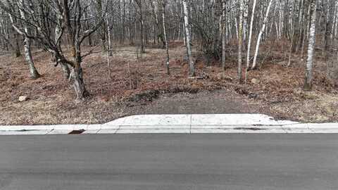 xxx Yellow Birch Trail, Duluth, MN 55810