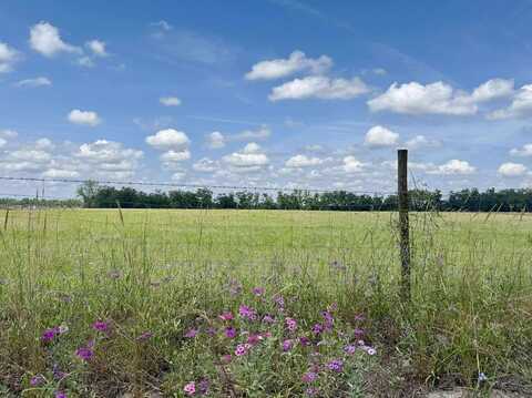 Parcel C 2nd Ct, Trenton, FL 32693