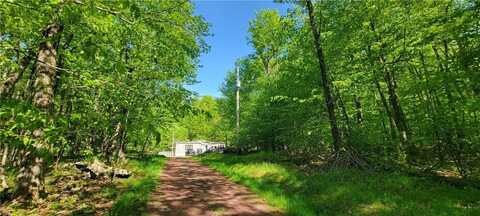 27 Birch Lane, Livingston Manor, NY 12768