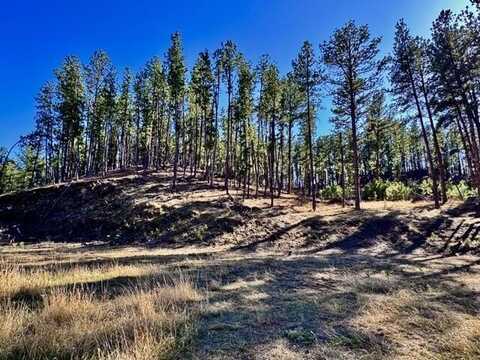 25325 Edyth Circle, Custer, SD 57730