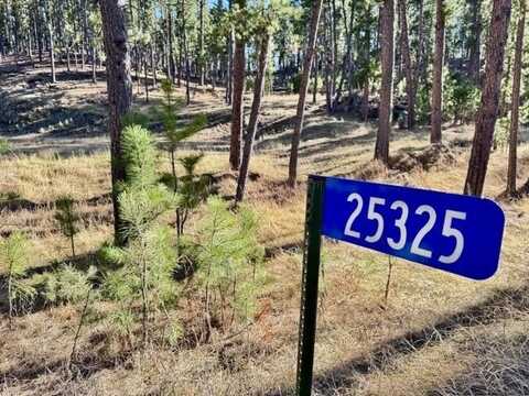 25325 Edyth Circle, Custer, SD 57730
