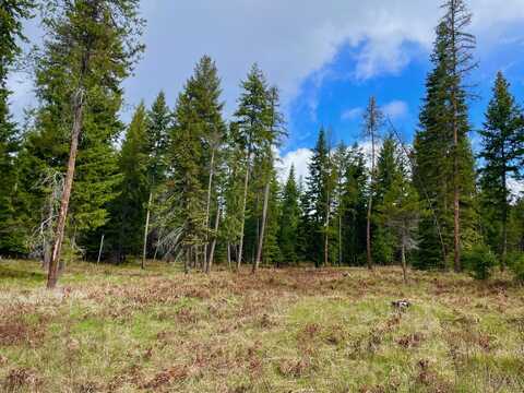 Nhn Big Fir Drive, Thompson Falls, MT 59873