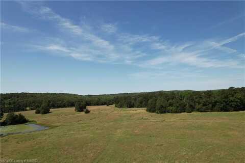 TBD Piney RD, Mulberry, AR 72947