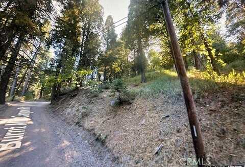 0 Burnt Mill Canyon #20 Road, Cedarpines Park, CA 92322