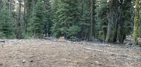 0 Bridle Road, Alturas, CA 96101