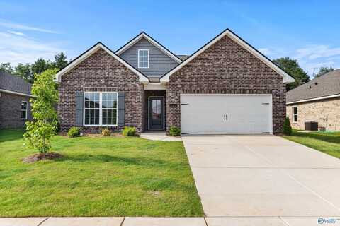 232 Jerrie Lynn Boulevard, Meridianville, AL 35759