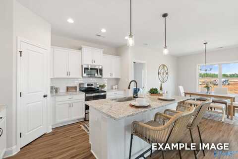232 Jerrie Lynn Boulevard, Meridianville, AL 35759