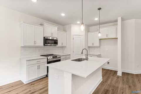 234 Jerrie Lynn Boulevard, Meridianville, AL 35759