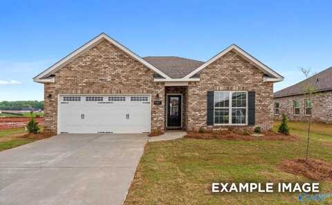 234 Jerrie Lynn Boulevard, Meridianville, AL 35759