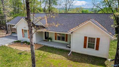 45 Hickory Lane, Valley Head, AL 35989