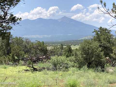 23320 Forest Service 548 Road, Flagstaff, AZ 86001