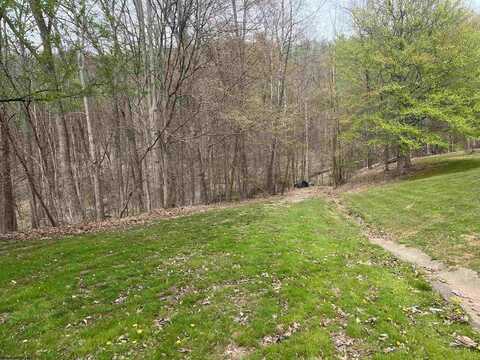 TBD Gaston Manor Road, Jane Lew, WV 26378
