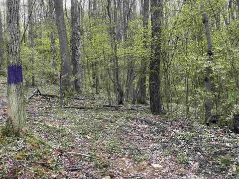 TBD Hickory Hill Road, Jane Lew, WV 26378