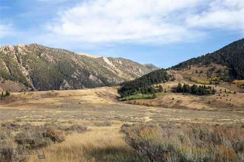 Parcel 77 And GVT lot 6 final legal TBD, Cameron, MT 59720