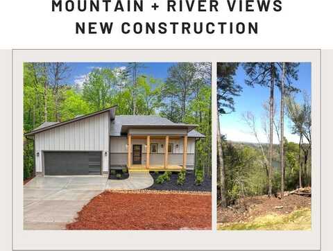54 Myna, Ellijay, GA 30540
