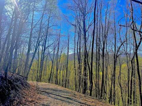 29 Ac Hidden Valley Drive, Ellijay, GA 30536