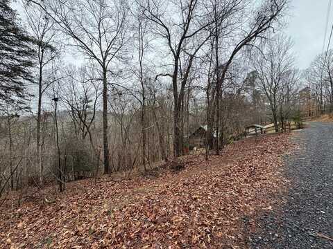 702 Kismet Court, Ellijay, GA 30540