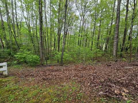 Lot 69 Chatuge Village, Hayesville, NC 28904