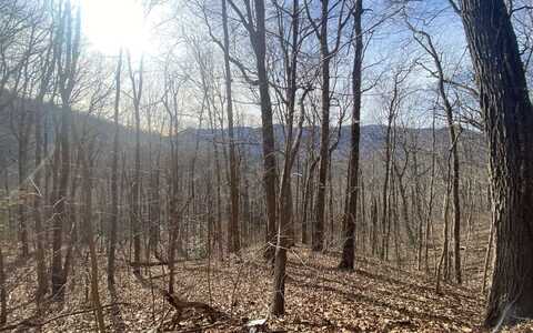 Tr. 1 Caesar Gap Road, Hiawassee, GA 30546